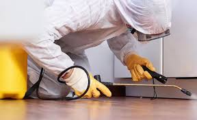 Emergency Pest Control Services in Seminole, FL